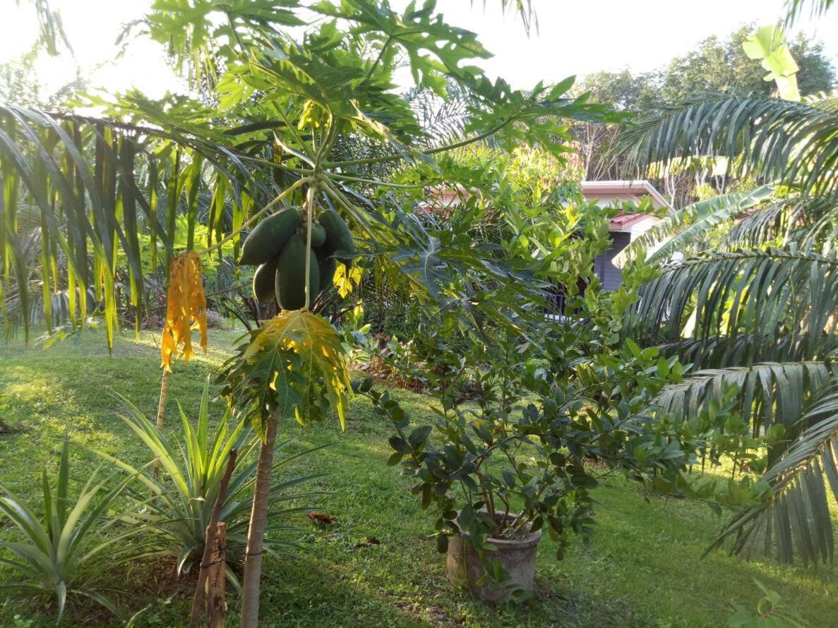 Baan Reenaa Lanta Ko Lanta Eksteriør bilde
